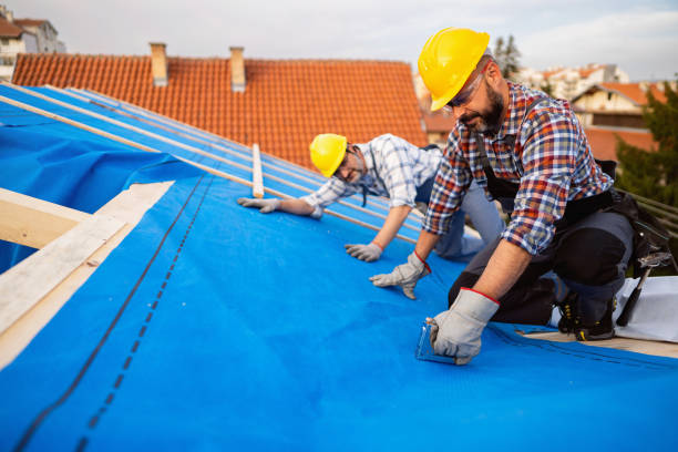 Best New Roof Installation  in Calvert City, KY