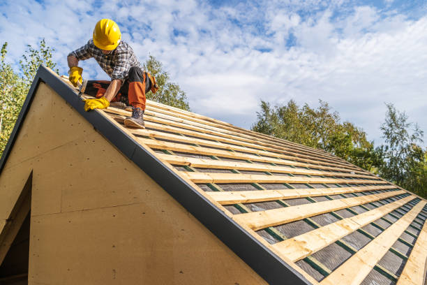 Best Gutter Installation and Roofing  in Calvert City, KY