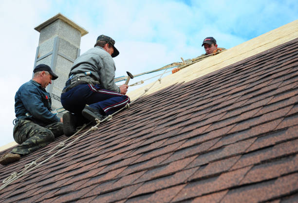 Best Residential Roofing Contractor  in Calvert City, KY